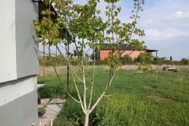 იყიდება მიწის ნაკვეთი, სასოფლო - სამეურნეო, თემქა