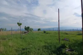 იყიდება მიწის ნაკვეთი, სასოფლო - სამეურნეო, თემქა