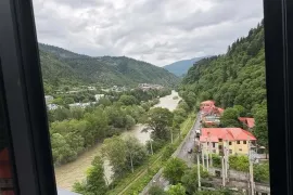 იყიდება ბინა, 3 ოთახიანი, ძველი აშენებული, ბორჯომი, ბორჯომი