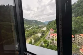 იყიდება ბინა, 3 ოთახიანი, ძველი აშენებული, ბორჯომი, ბორჯომი