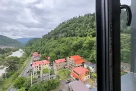 იყიდება ბინა, 3 ოთახიანი, ძველი აშენებული, ბორჯომი, ბორჯომი