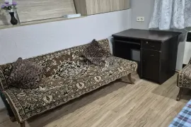 Аренда Дома, 1 Kомнатная, Тбилиси, Надзаладеви