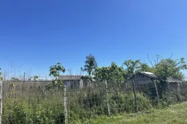 Land For Sale, Agricultural, Anaklia