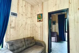 House For Sale, 9 Room, Borjomi , Sadgeri