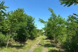 იყიდება მიწის ნაკვეთი, არა სასოფლო - სამეურნეო