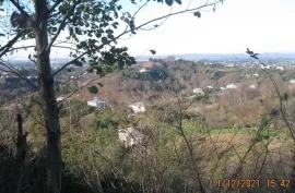 Land For Sale, Kveda Kondidi