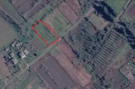 Land For Sale, Agricultural, Nosiri