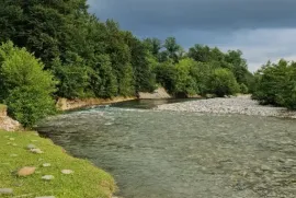 იყიდება მიწის ნაკვეთი, არა სასოფლო - სამეურნეო, სალხინო 