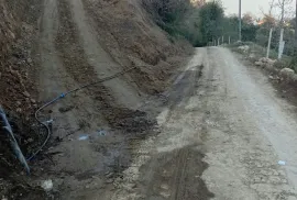 იყიდება მიწის ნაკვეთი, სასოფლო - სამეურნეო, თხილნარი