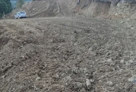 იყიდება მიწის ნაკვეთი, სასოფლო - სამეურნეო, თხილნარი