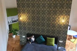 For Rent, 1 Room, Old building, Tbilisi, Chugureti
