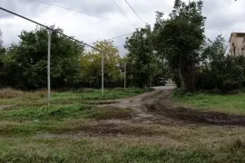 Land For Sale, Non Agricultural, Ortachala