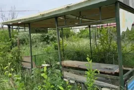 Land For Sale, Agricultural, Ivertubani