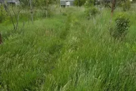 Land For Sale, Agricultural, Ivertubani