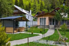 House For Rent, 3 Room, Borjomi , Likani