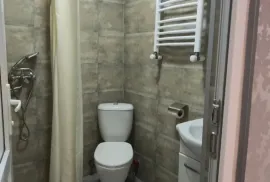 House For Rent, 3 Room, Borjomi , Likani