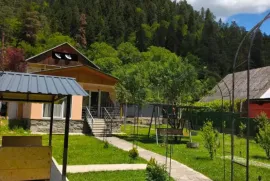 House For Rent, 3 Room, Borjomi , Likani