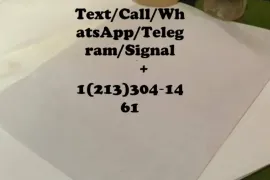 იყიდება, სარდაფი, ავგია