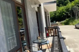 Daily Apartment Rent, 2 Room, New building, Borjomi , Bakuriani