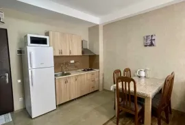 Daily Apartment Rent, 2 Room, New building, Borjomi , Bakuriani