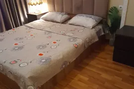 Daily Apartment Rent, 2 Room, Old building, Tbilisi, Nadzaladevi