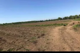 Land For Sale, Supsa 