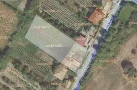 Land For Sale, Non Agricultural, Akhmeta