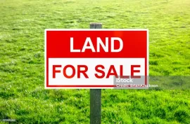 Land For Sale, Agricultural, Gudauri