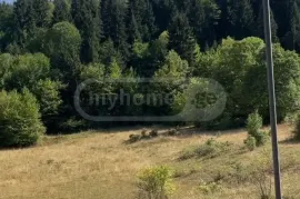 Land For Sale, Agricultural, Tsemi