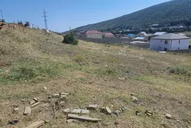 Land For Sale, Tsodoreti