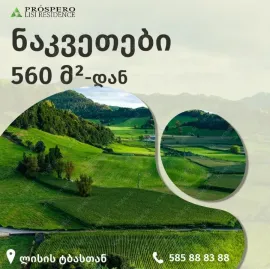 Land For Sale, Non Agricultural, Lisi lake