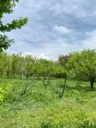 Land For Sale, Non Agricultural, Navazi