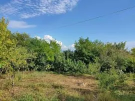 Land For Sale, Non Agricultural, Navazi