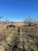 Land For Sale, Agricultural, Sagarejo