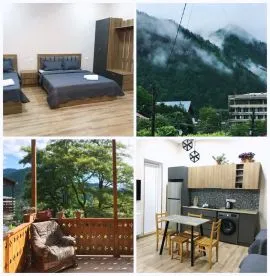 Daily Rent, 1 Room, Borjomi , Borjomi