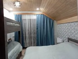 Daily Rent, 5 Room, Borjomi , Bakuriani