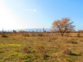 Land For Sale, Agricultural, Mukhrani