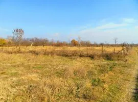 Land For Sale, Agricultural, Mukhrani