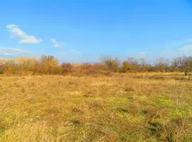 Land For Sale, Agricultural, Mukhrani