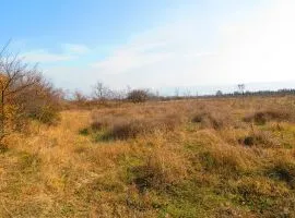 Land For Sale, Agricultural, Mukhrani