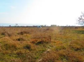 Land For Sale, Agricultural, Mukhrani