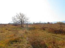 Land For Sale, Agricultural, Mukhrani