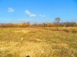 Land For Sale, Agricultural, Mukhrani