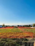 Land For Sale, Non Agricultural, Saguramo