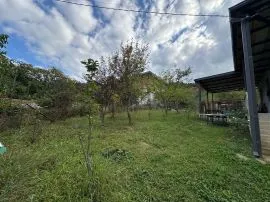 Land For Sale, Betania