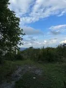 Land For Sale, Betania