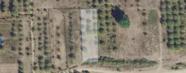 Land For Sale, Agricultural, Zakaro