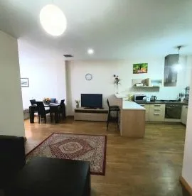 For Rent, 2 Room, New building, Tbilisi, Mtatsminda