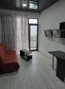 Daily Apartment Rent, 2 Room, New building, Tbilisi, Isani