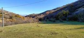 Land For Sale, Agricultural, Vedzisi